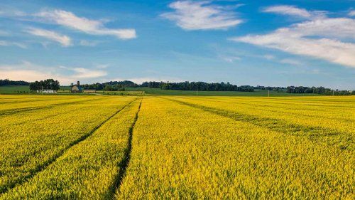 Expropiaciones y asesoramiento