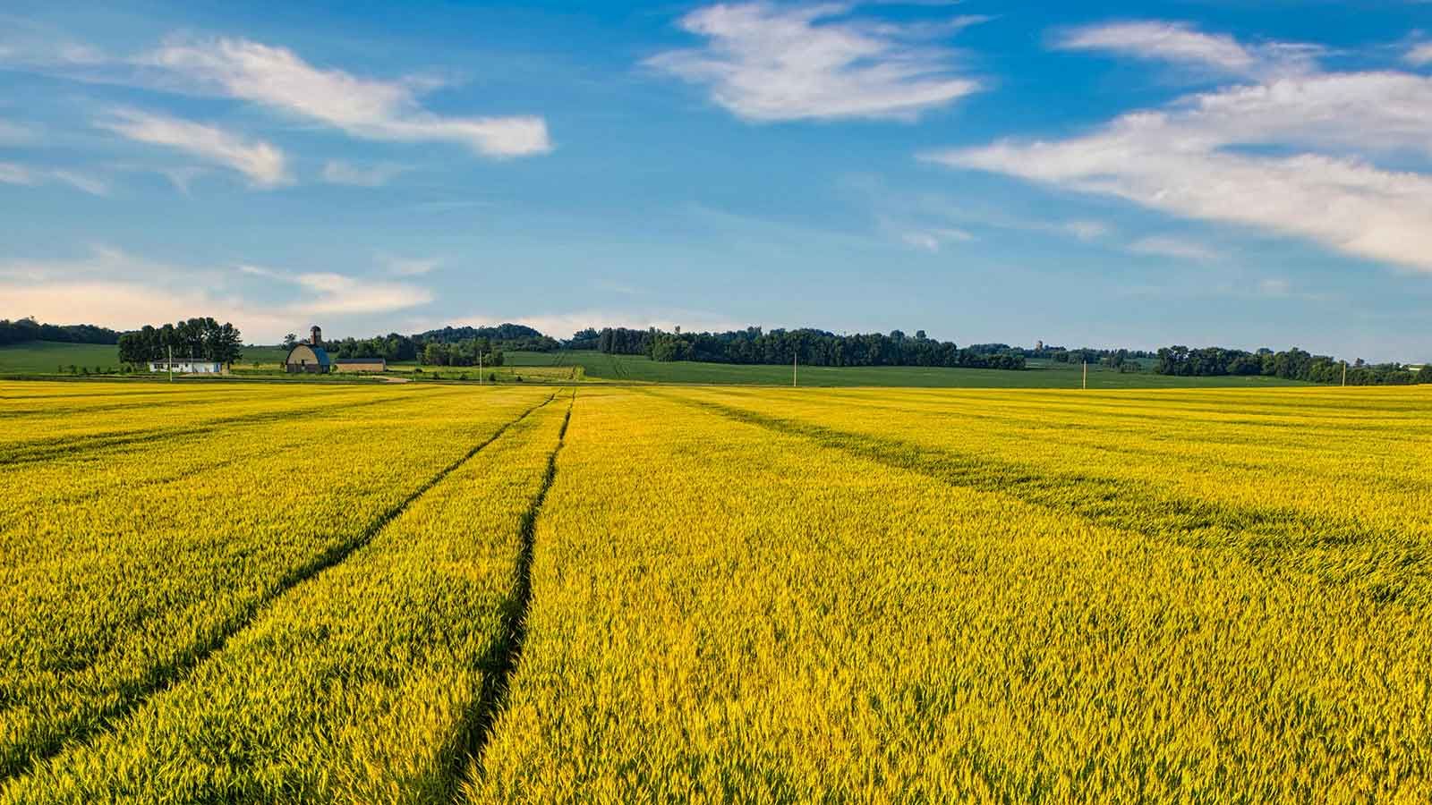 Expropiaciones y asesoramiento