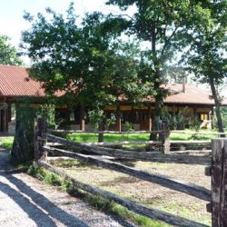 Ingeniería agroindustrial