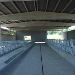 Ingeniería agroindustrial
